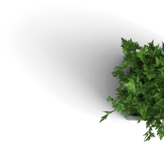 image13-new